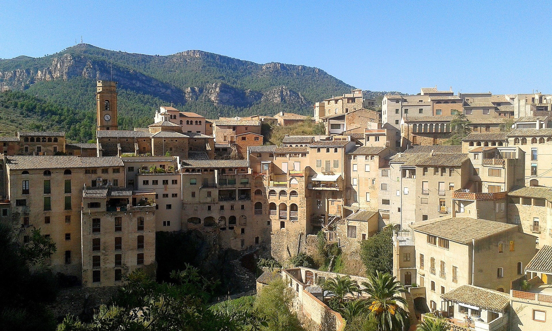 DO Priorat, viñedos unidos al cielo