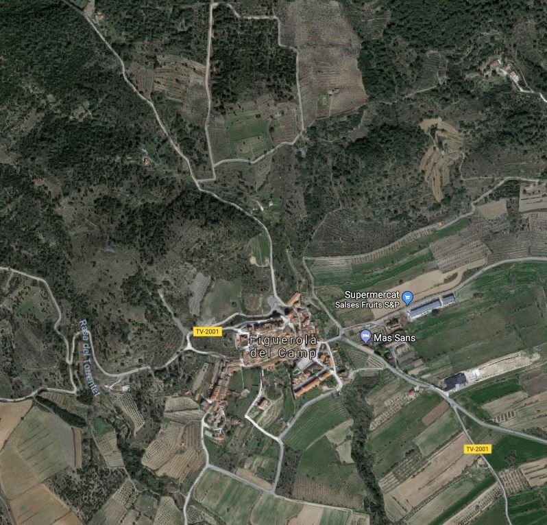 Un incendi crema 2,5 hectàrees de bosc a Figuerola del Camp