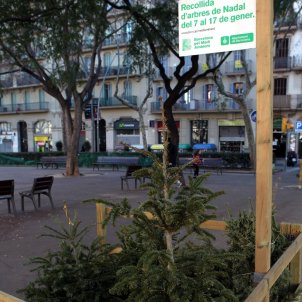 punt recollida arbres Nadal ACN punt recollida arbres Nadal ACN