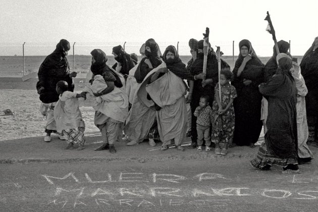 gassio sahara foto mani polisario