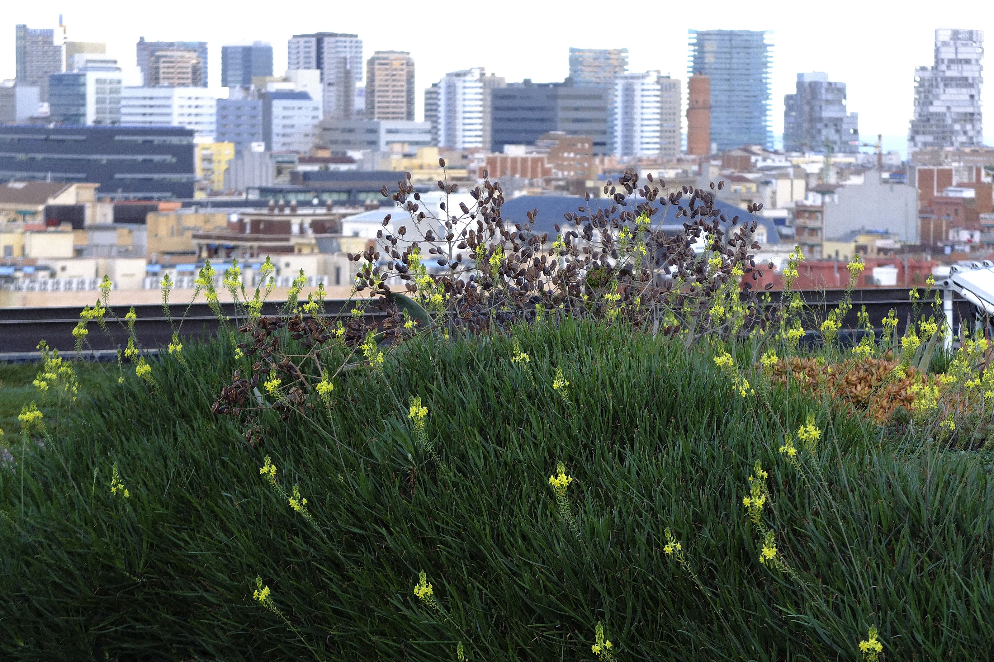 Catalunya i Escòcia impulsen projectes d'innovació entre empreses