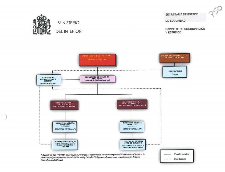 informe1o organigrama