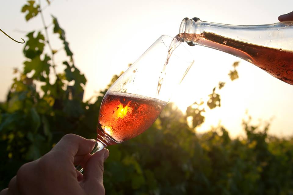 DO Cava, producte de qualitat internacional