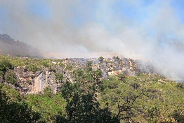 columna fum incendi alforja baix camp tarragona columna fum incendi alforja baix camp tarragona