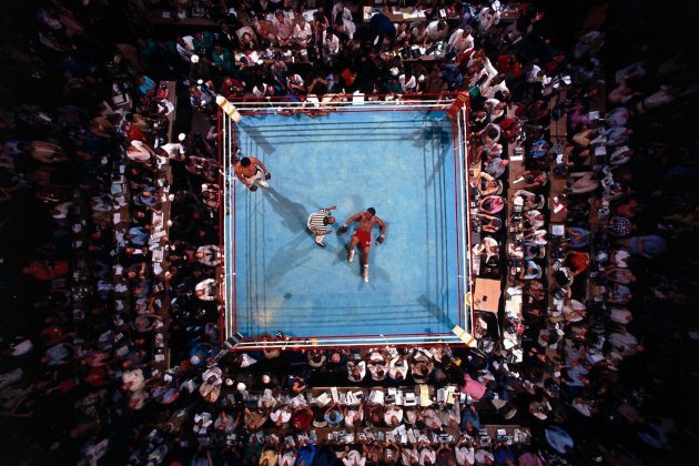 The Fight Portada