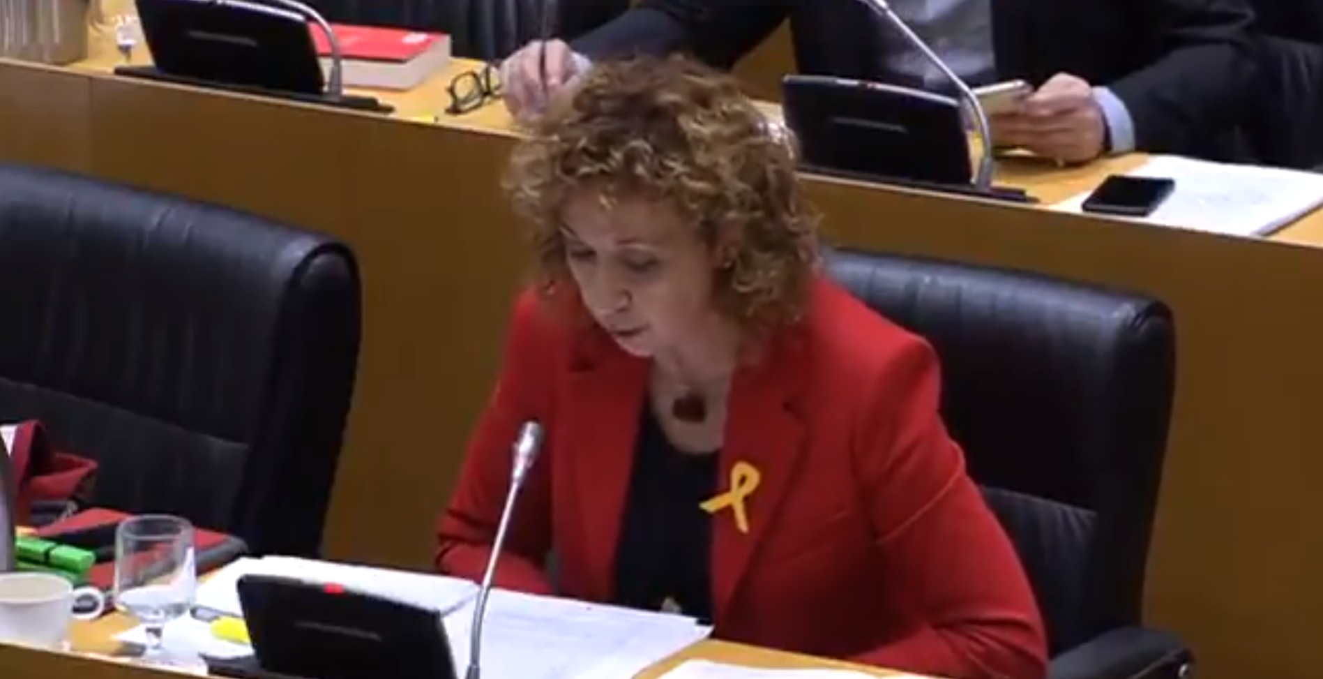 Vídeo: Una diputada d'ERC llegeix una carta de Junqueras a De Guindos