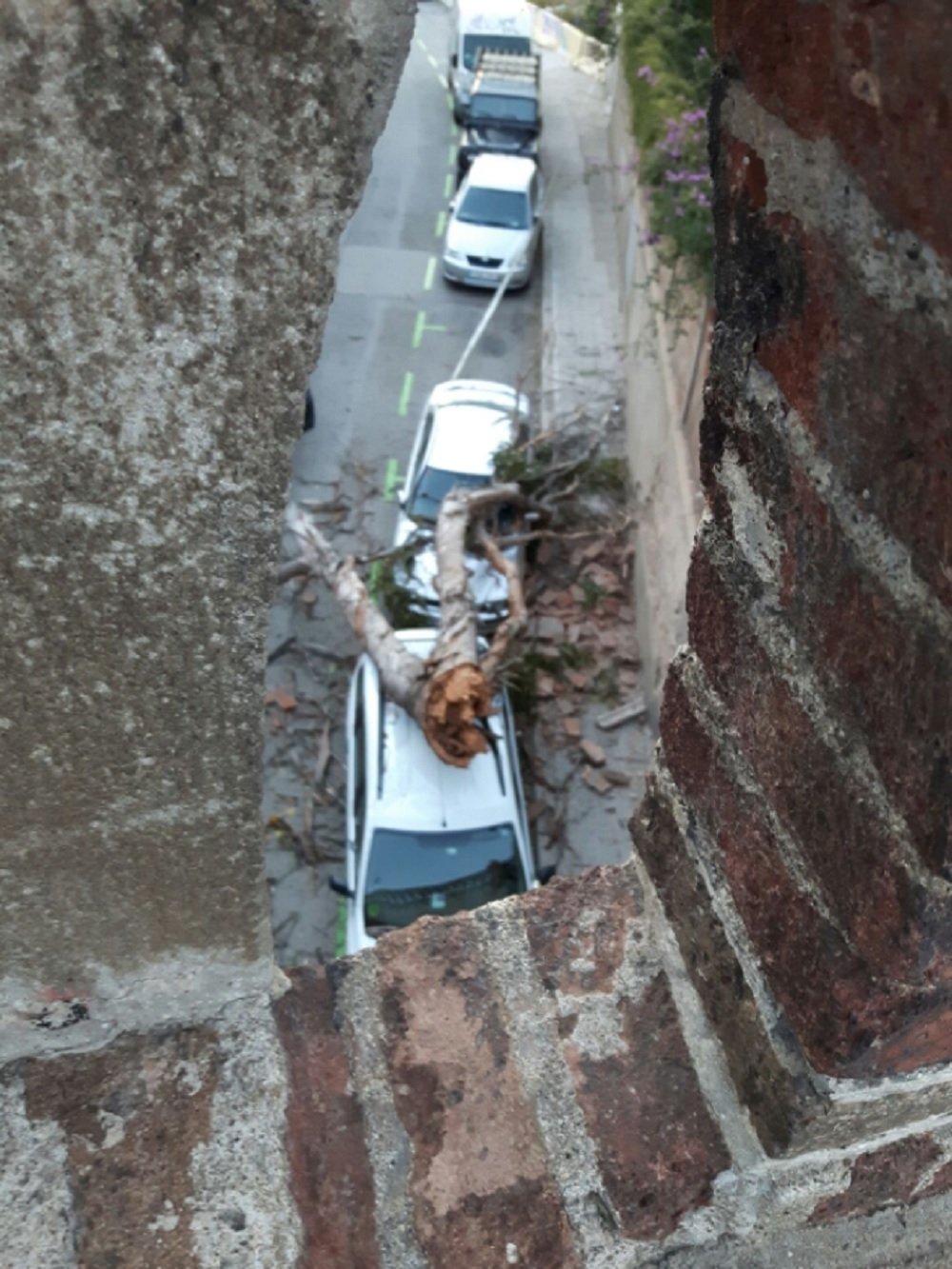 Alerta pel vent: Un arbre esclafa dos cotxes a Barcelona