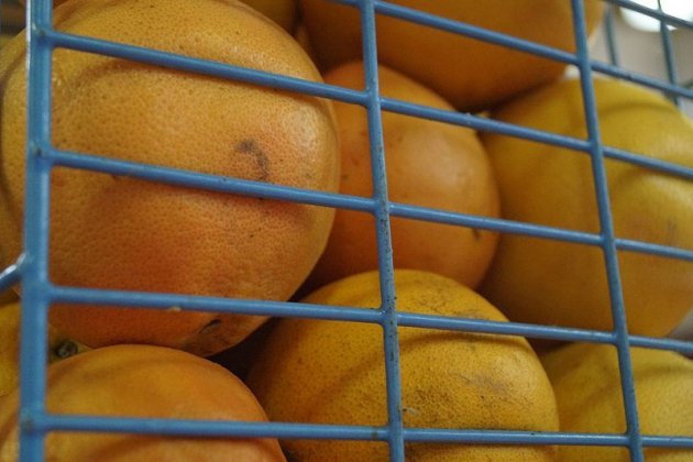 /uploads/s1/35/12/86/14/naranjas-wikipedia_15_630x420.jpeg /uploads/s1/35/12/86/14/naranjas-wikipedia_15_630x420.jpeg