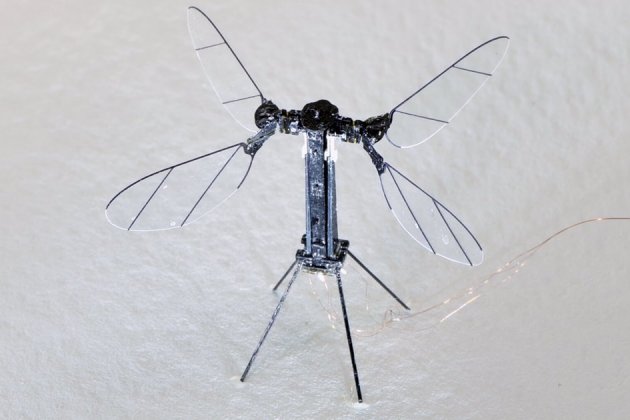 Robot insecto