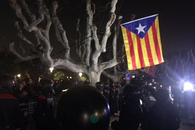 Estelada manifestació parlament investidura / CC Estelada manifestació parlament investidura / CC