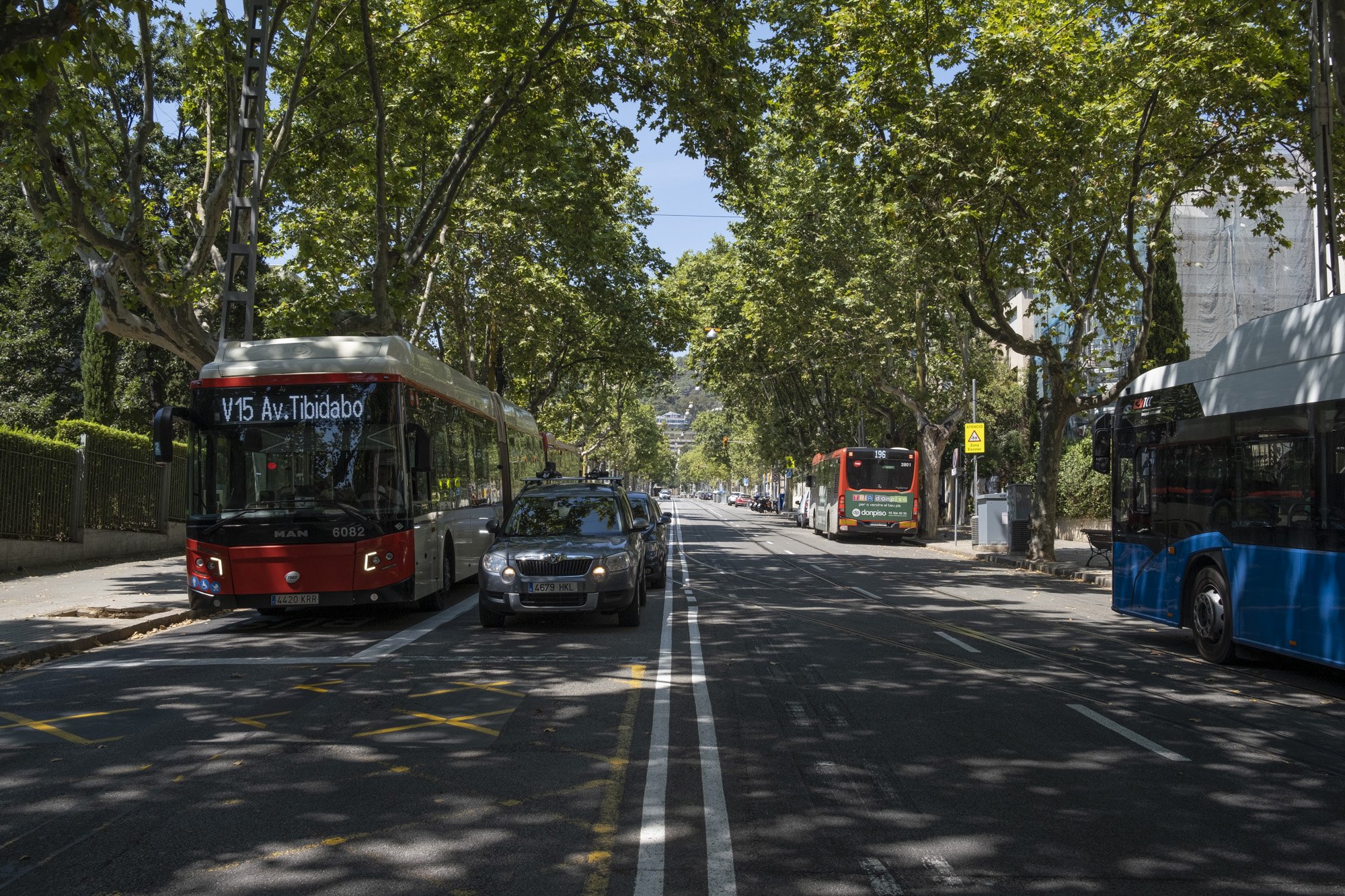 15 d'agost: 'El dia del Watusi' o la gran novel·la de Barcelona