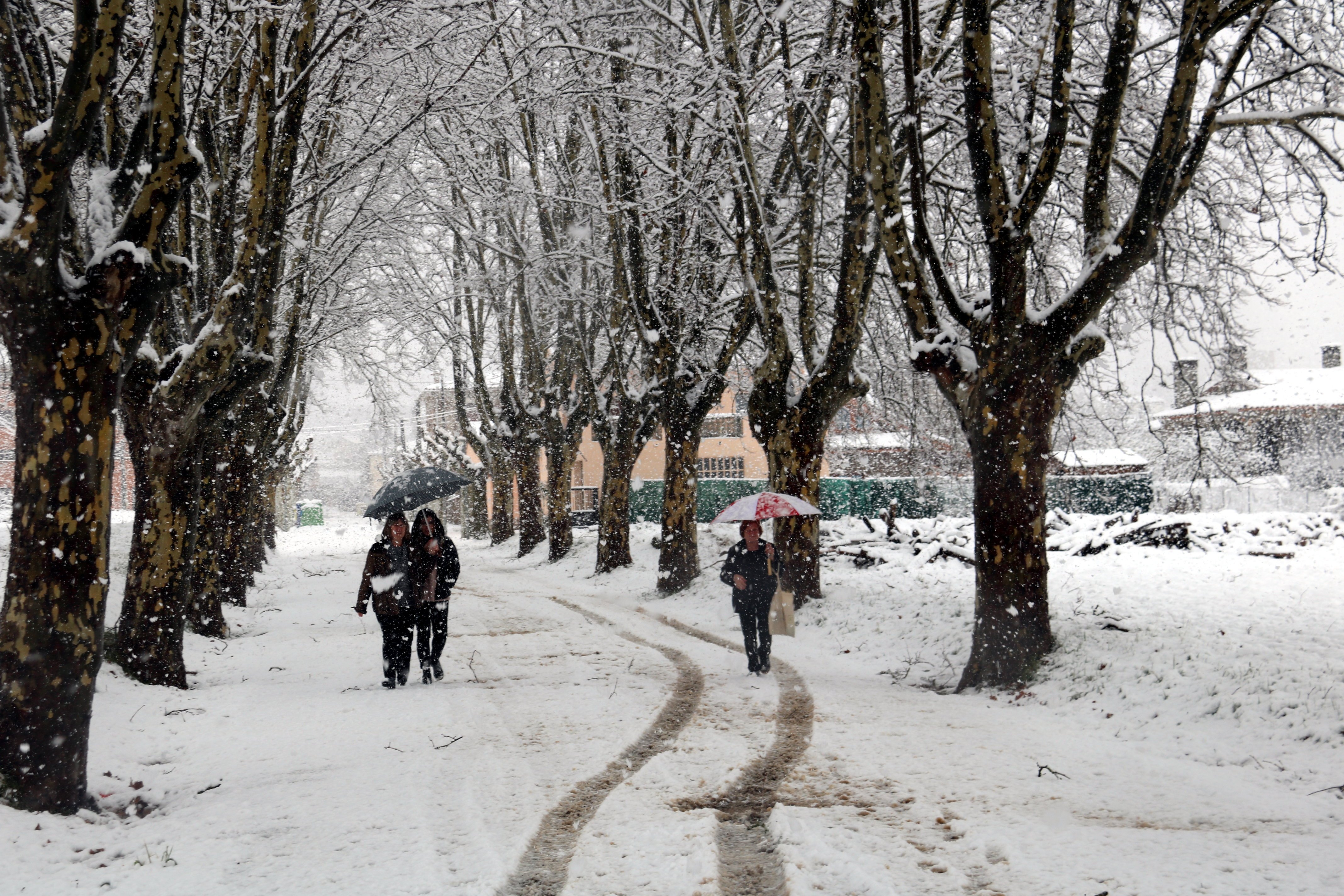 Lunes con más lluvia y nieve en cotas bajas