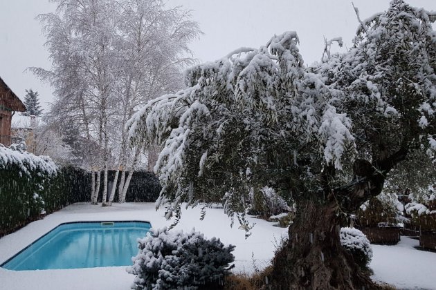 nieve La Seu d'Urgell 5 febrero