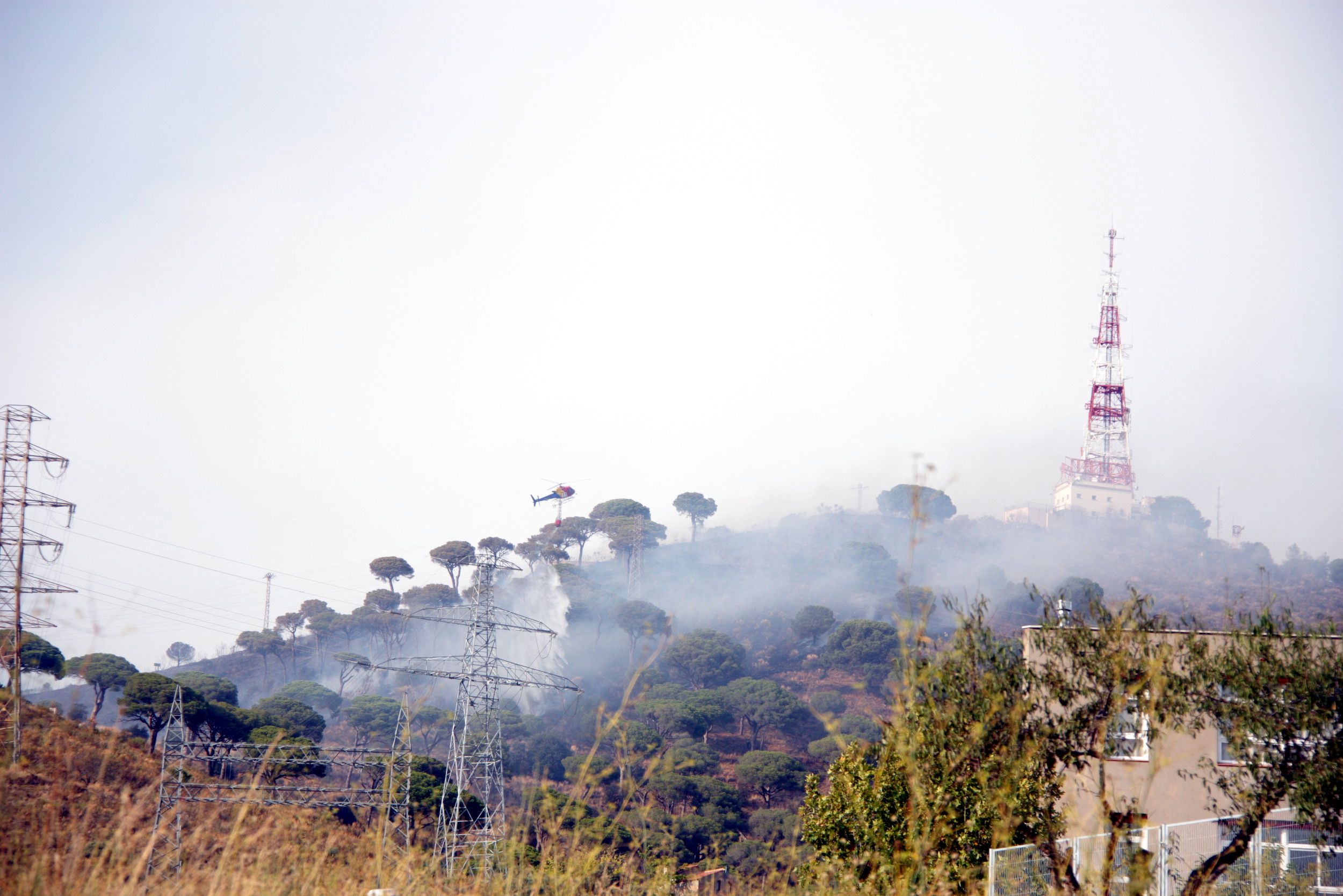 Incendio forestal en Collserola