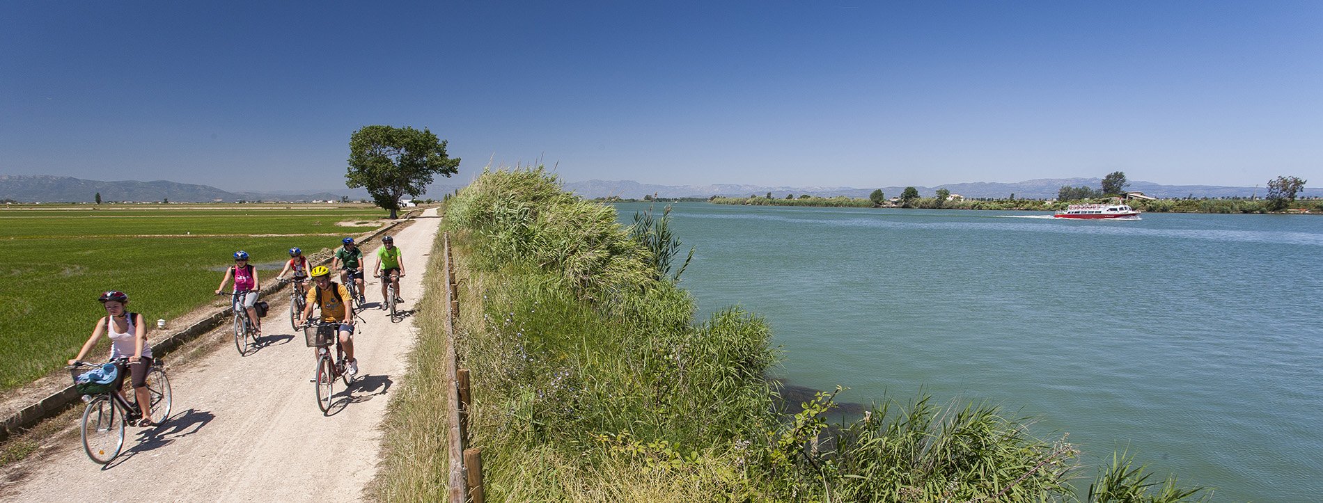 delta del ebre