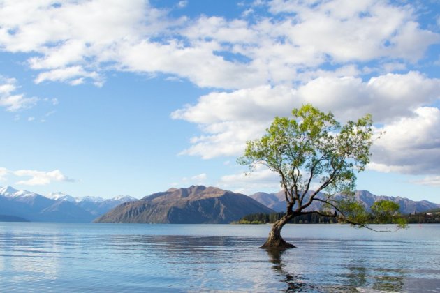 Llac Wanaka Nova Zelanda / Pexels Llac Wanaka Nova Zelanda / Pexels