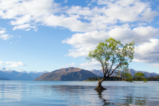 Lago Wanaka Nova Zelanda / Pexels