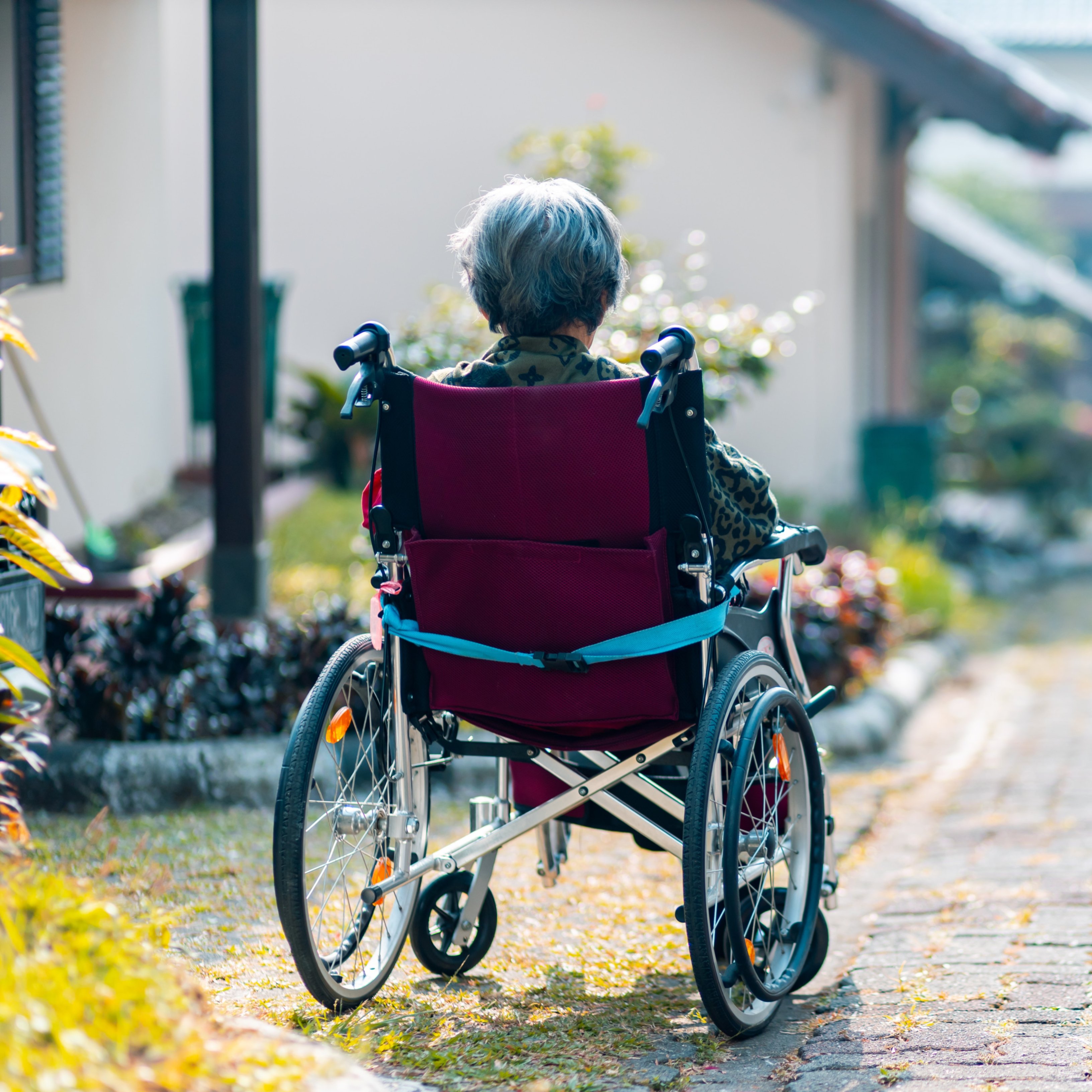 I si l'Alzheimer el desemboqués un virus latent en el nostre organisme?