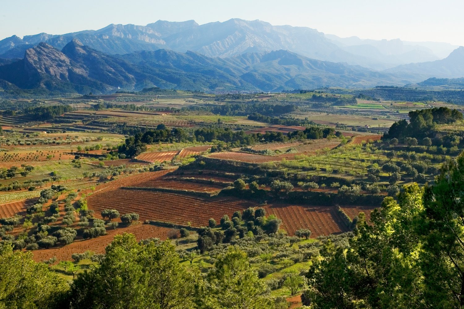 De viaje al país del vino (sin pasar por el Empordà)