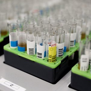 La verola del mico avança a Catalunya i supera els 1.780 casos: 220 contagis en una setmana