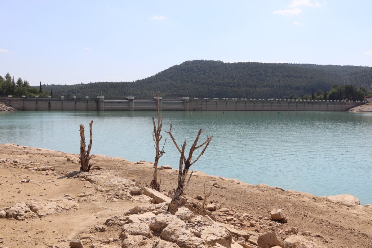 Cae un 15% la producción hidroeléctrica en Catalunya por la sequía y el calor