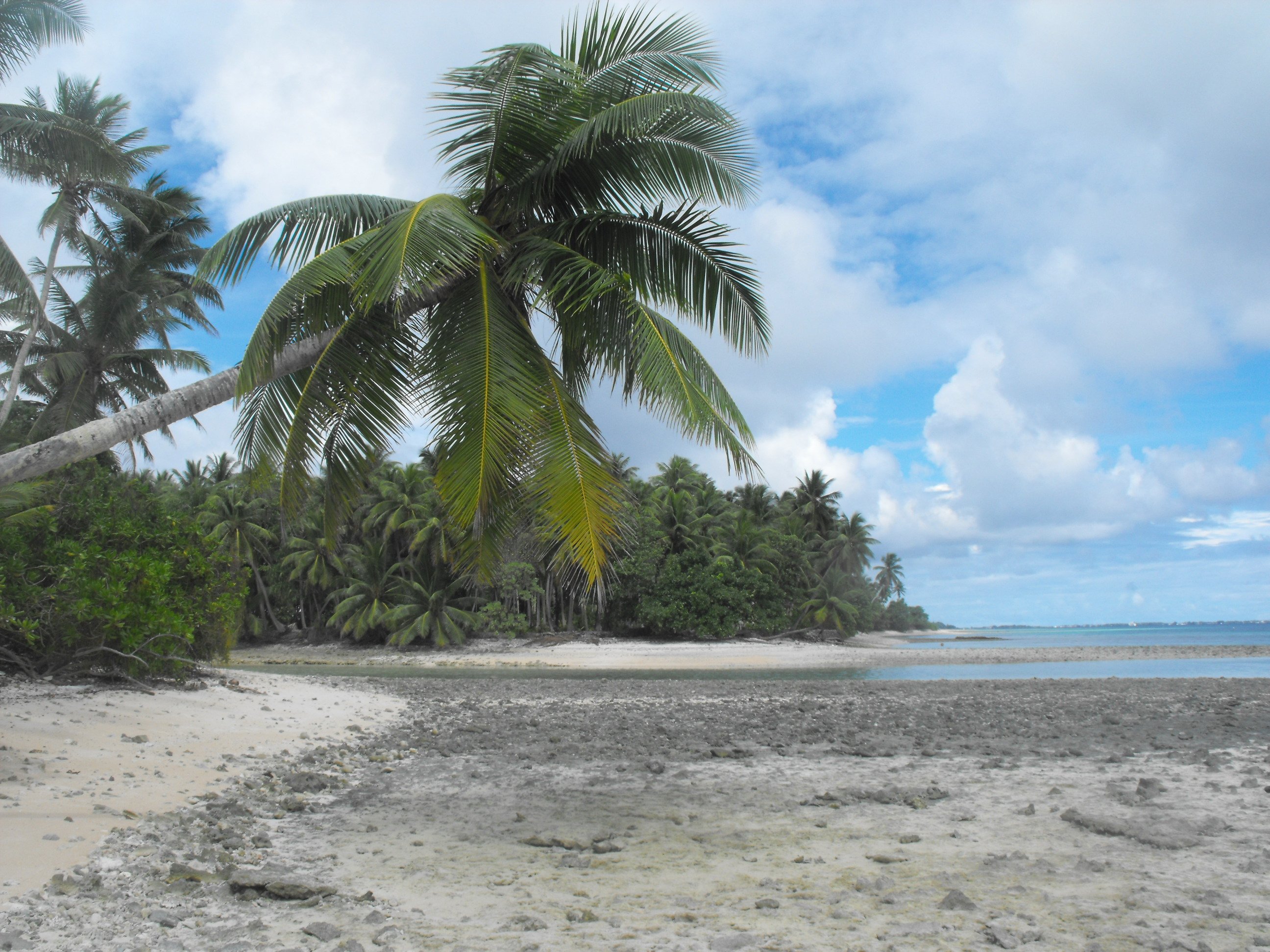 Cae uno de los últimos rincones del mundo sin covid: las Islas Marshall