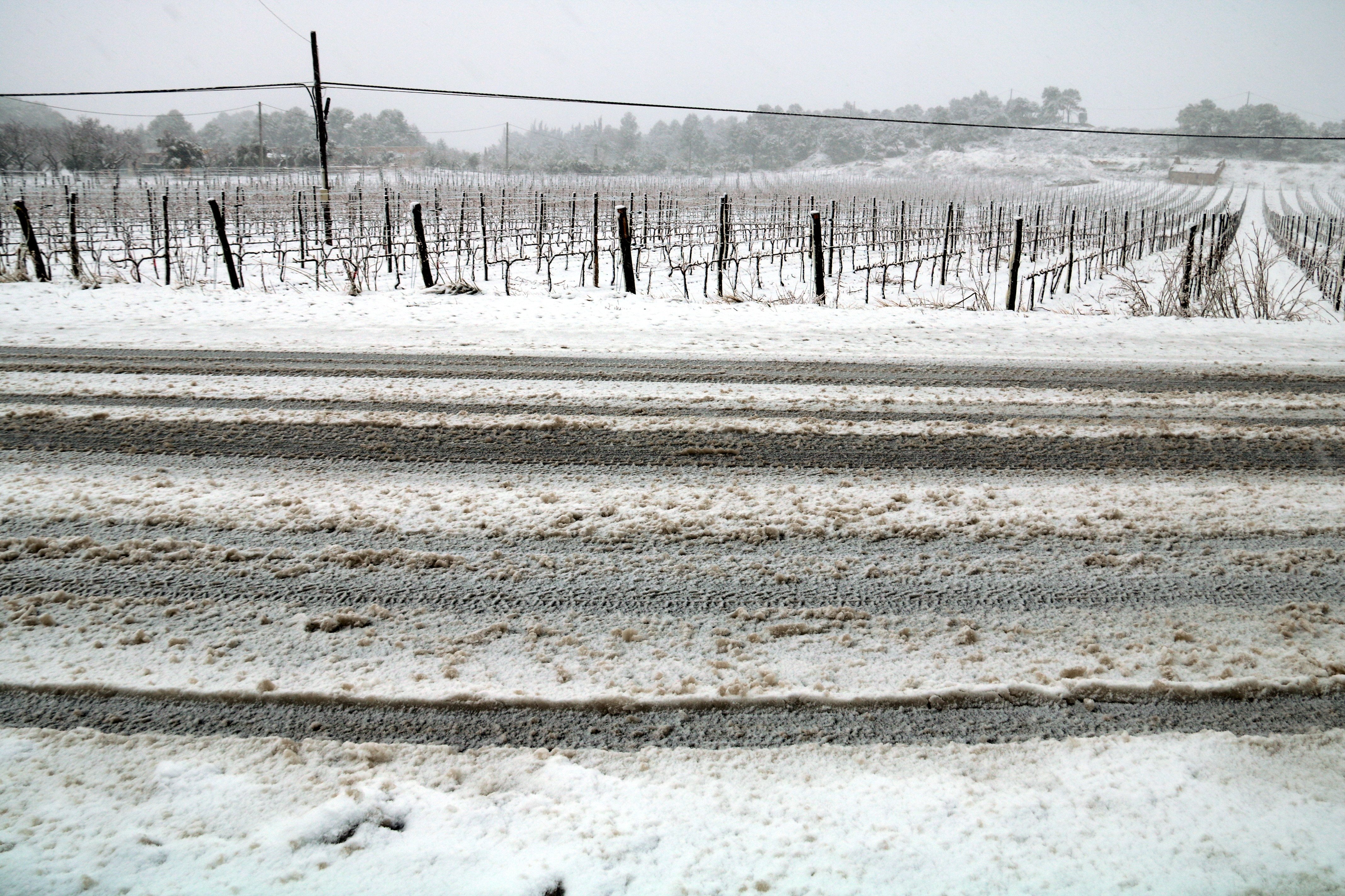 Consulta el estado de las carreteras por la nieve en Catalunya