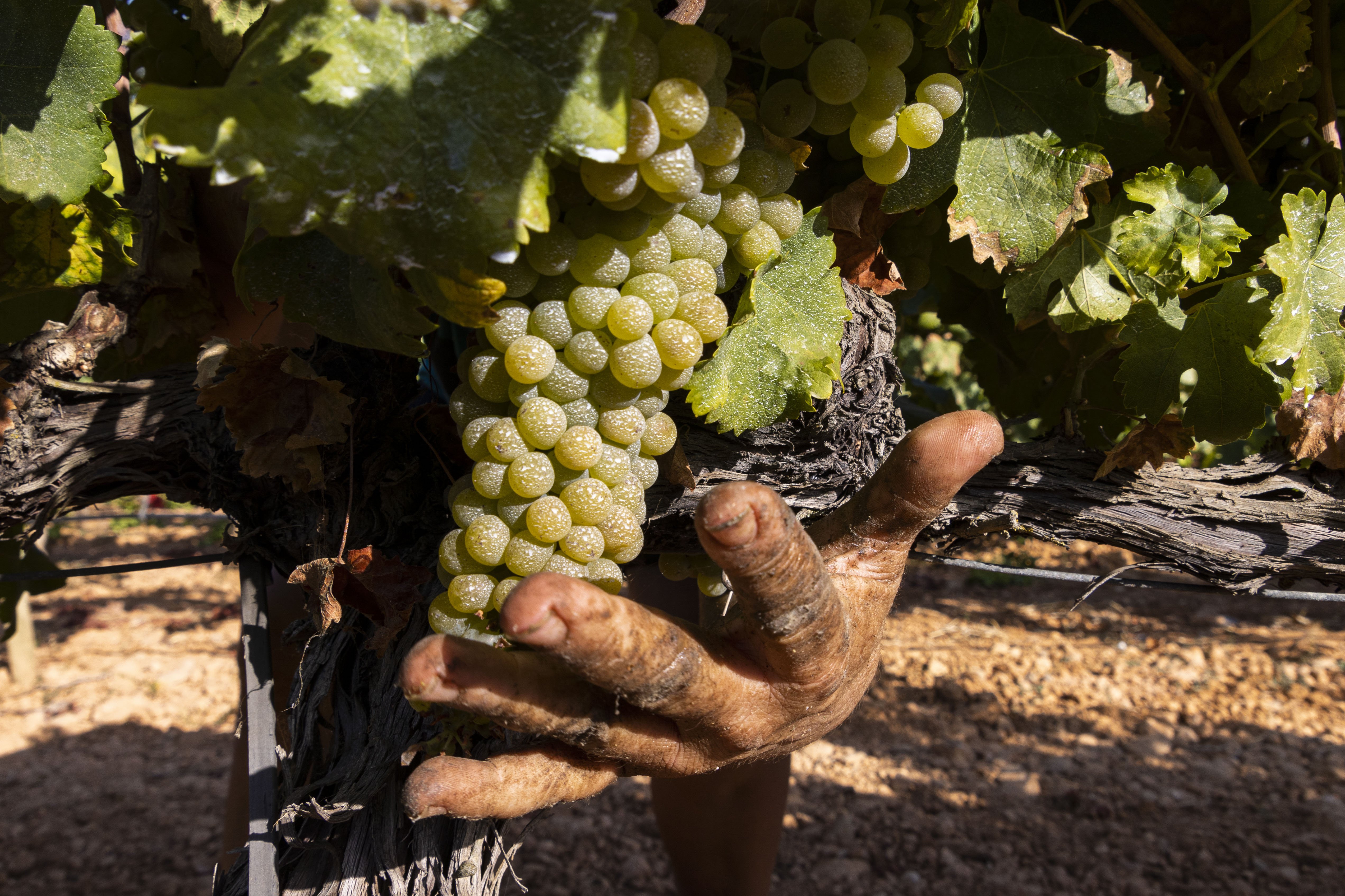 Biniagual (Mallorca)