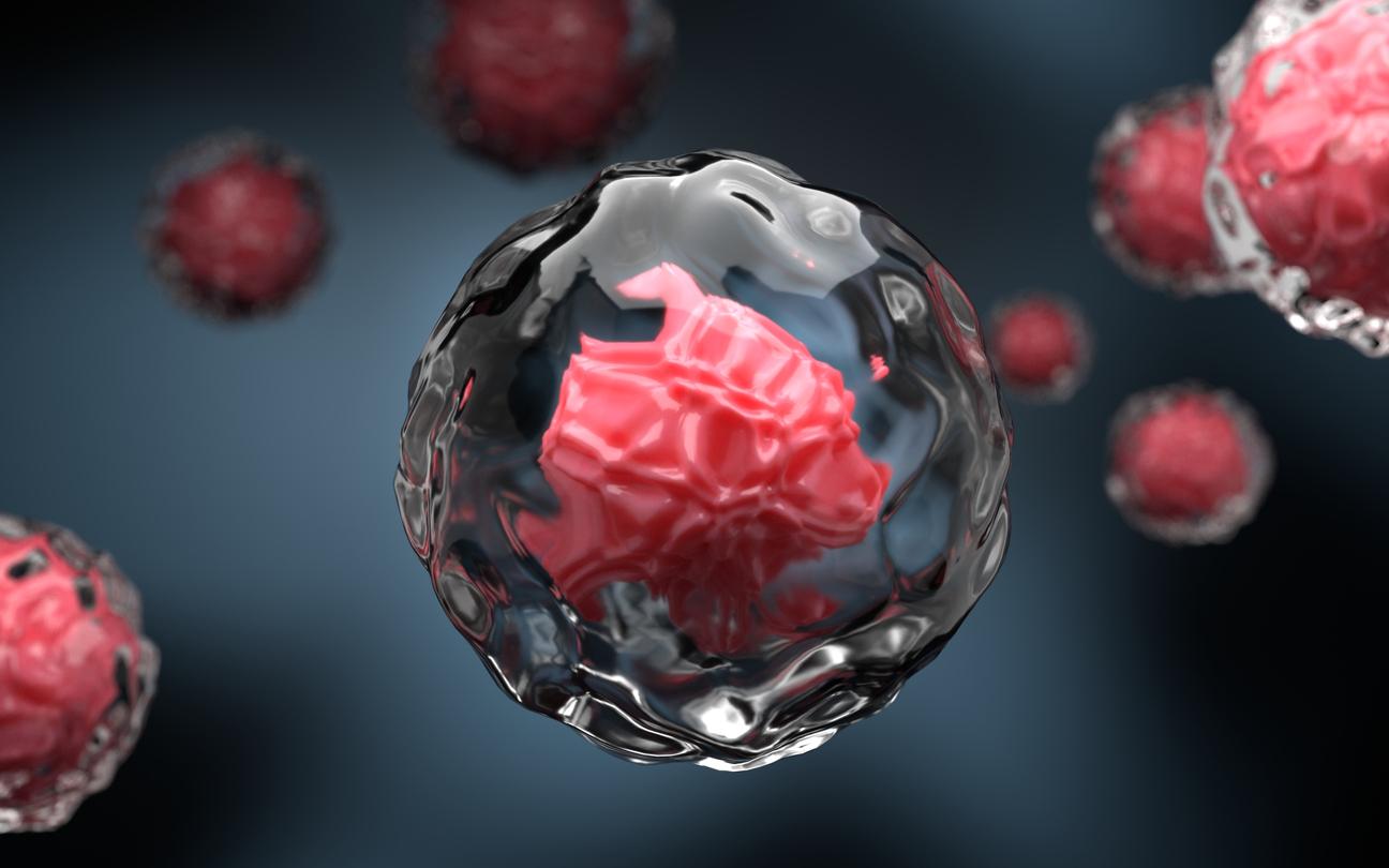 Células madre en el espacio, el nuevo descubrimiento que está revolucionando la ciencia