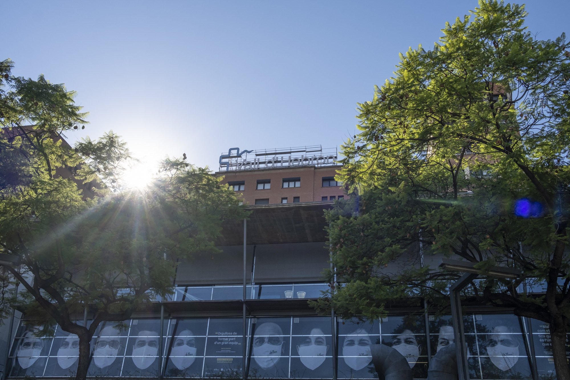 La Vall d'Hebron prova un fàrmac que permet el trasplantament de ronyó en pacients inoperables