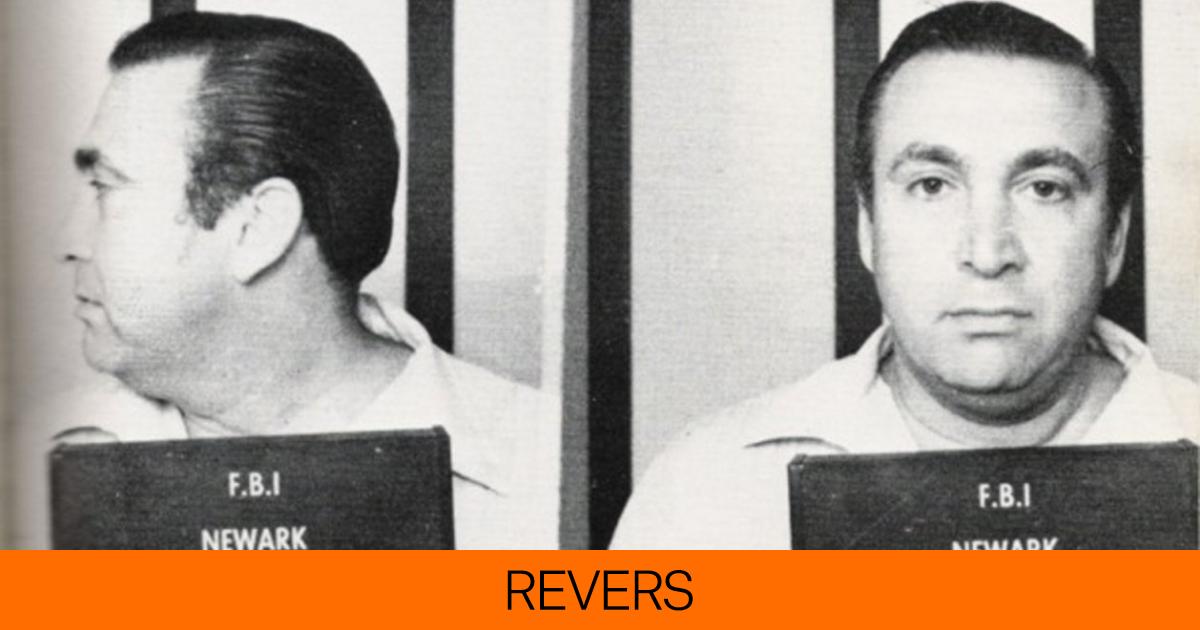 Roy DeMeo El Mafioso Que Fue Carnicero Banquero Y Porn grafo Antes De 