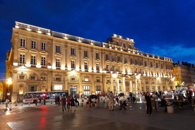 Museo de Bellas Artes de Lyon / Wikipedia