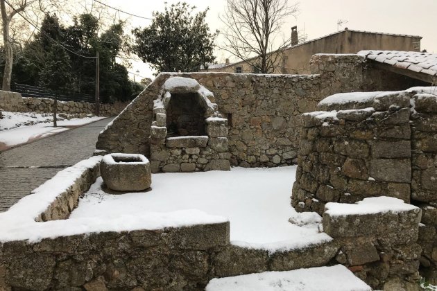 romanya neu   acn