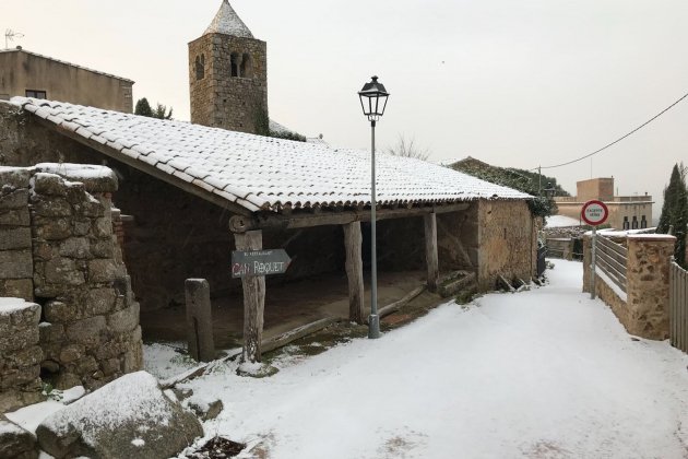 romanya selva neu   acn