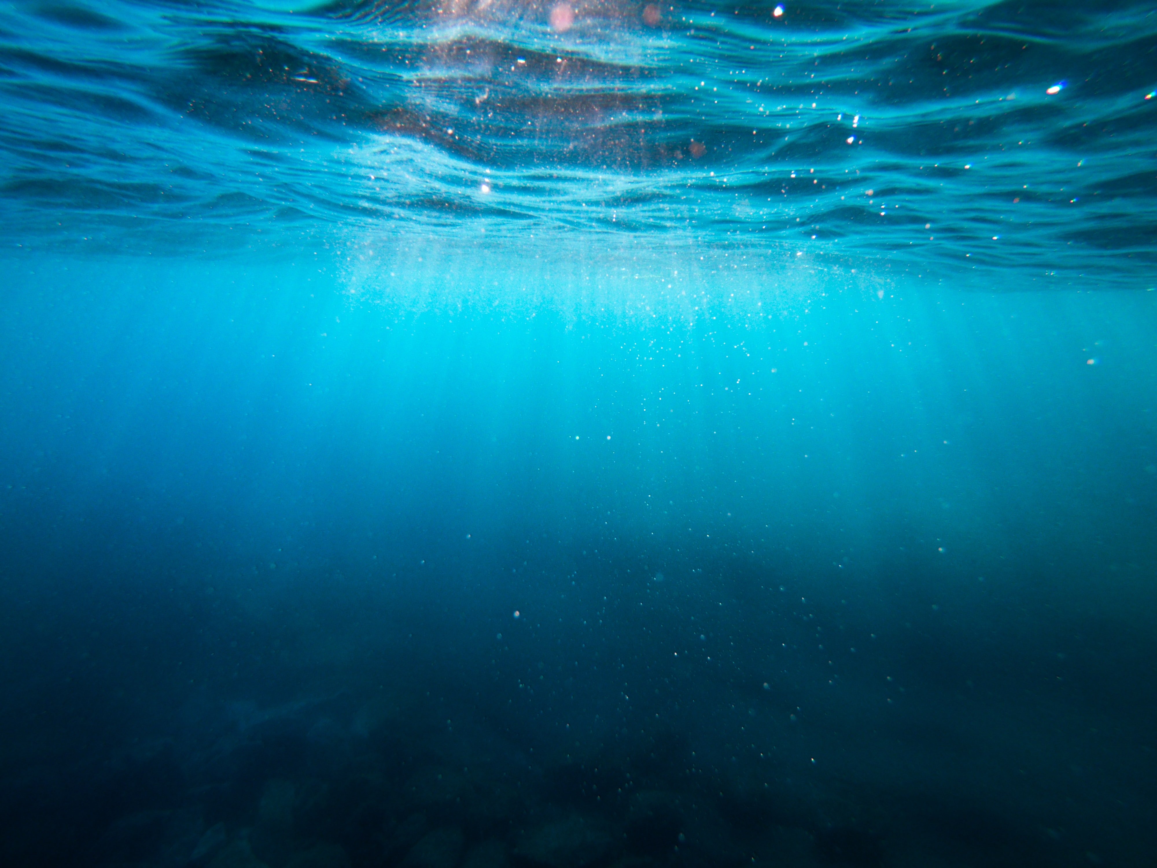 La tecnología utilizada para una llamada internacional viaja bajo el agua: ¿qué son los cables submarinos?