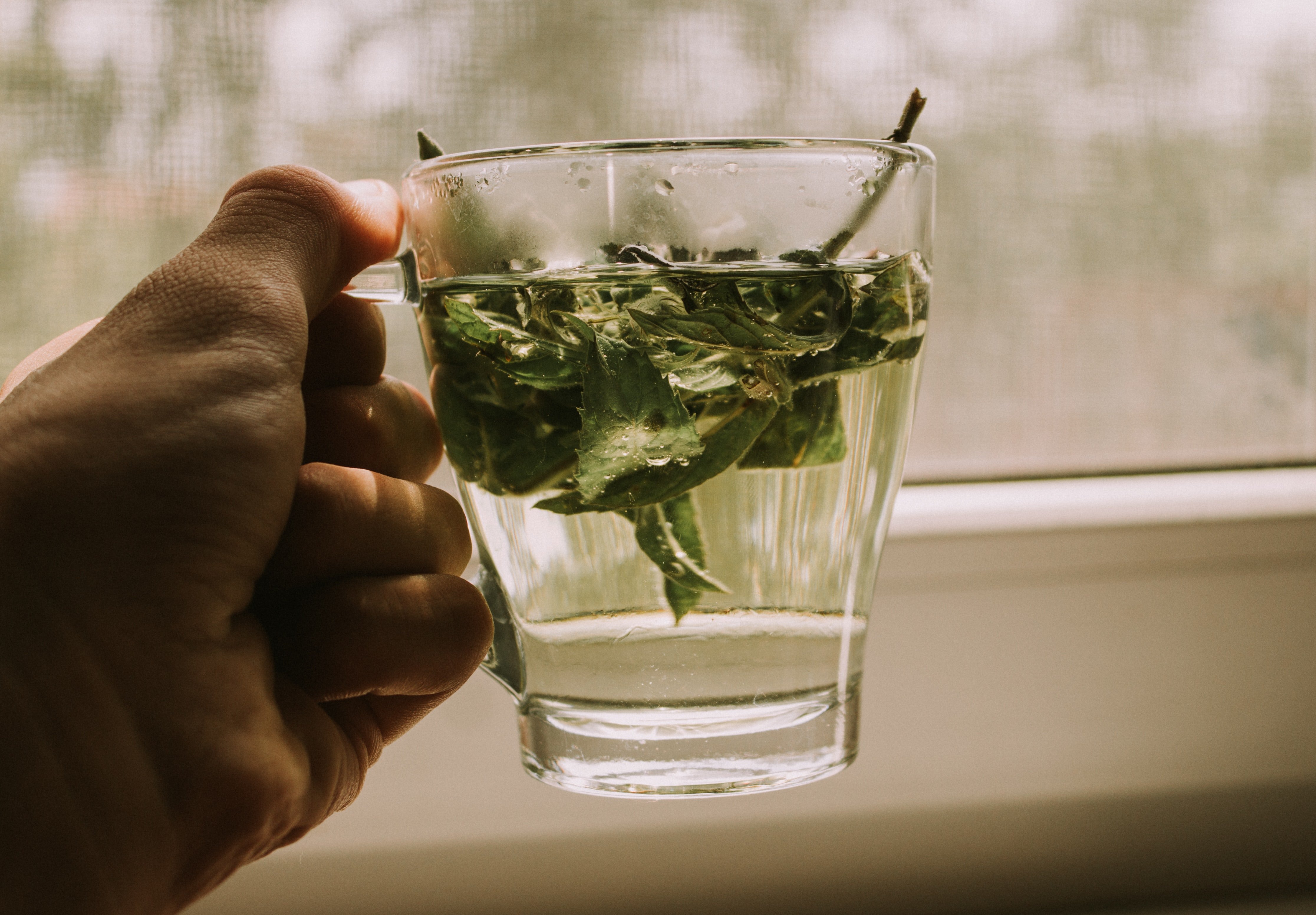 Té de menta / Unsplash