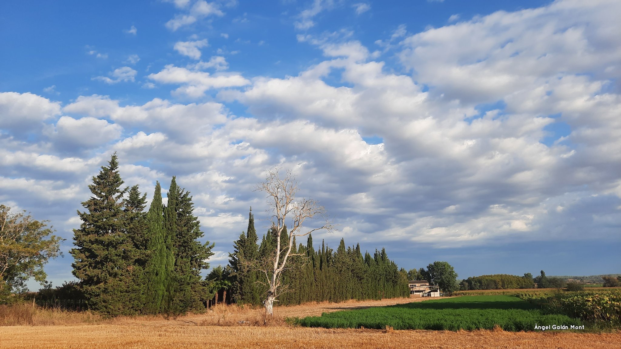 Quin temps farà aquest cap de setmana? Descobreix si s'esperen més tempestes a Catalunya
