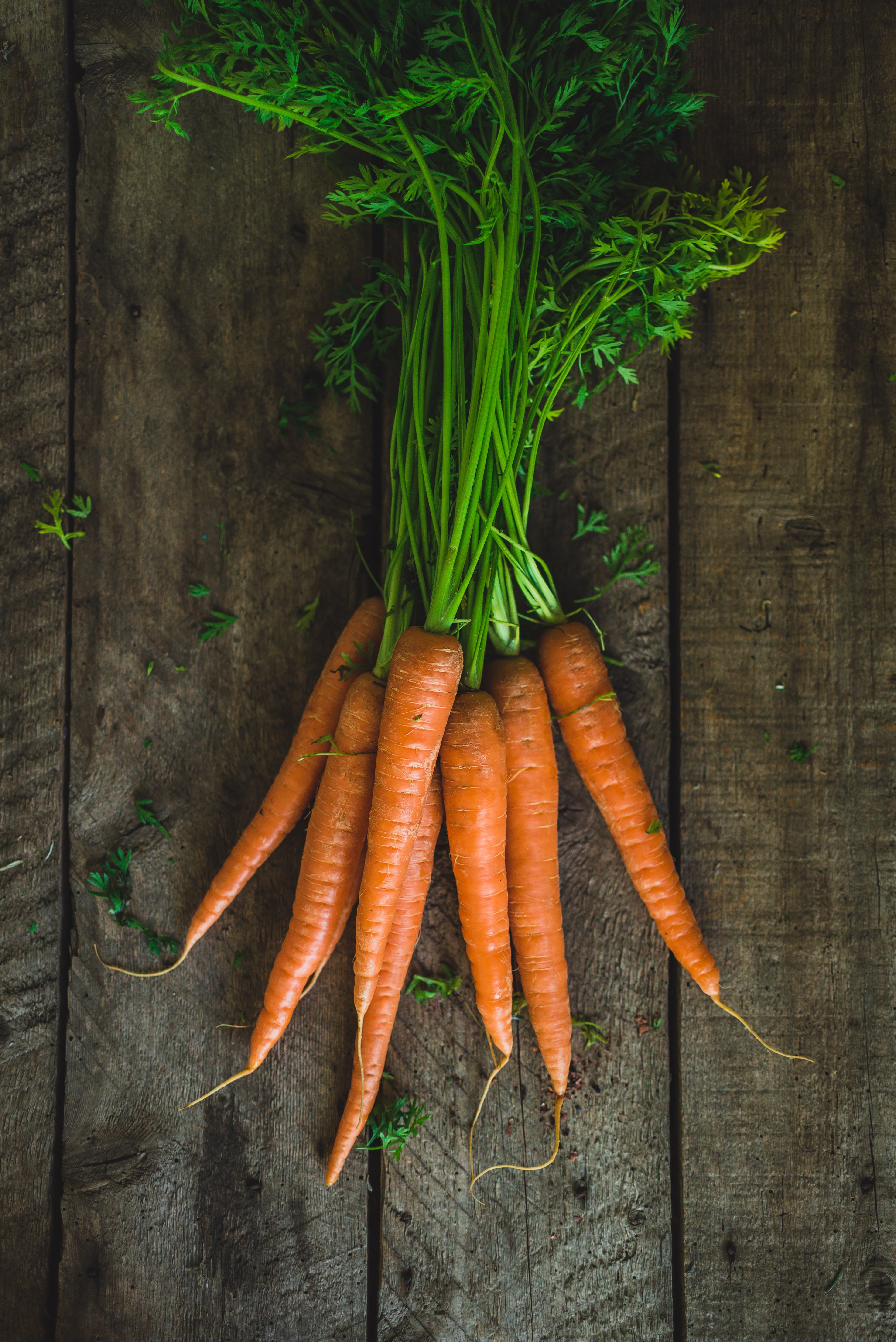 Pastanaga  ingredients La Gourmeteria / Foto: Unsplash