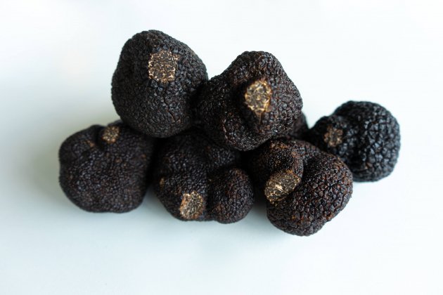 Trufa ingredients La Gourmeteria / Foto: Unsplash Trufa ingredients La Gourmeteria / Foto: Unsplash