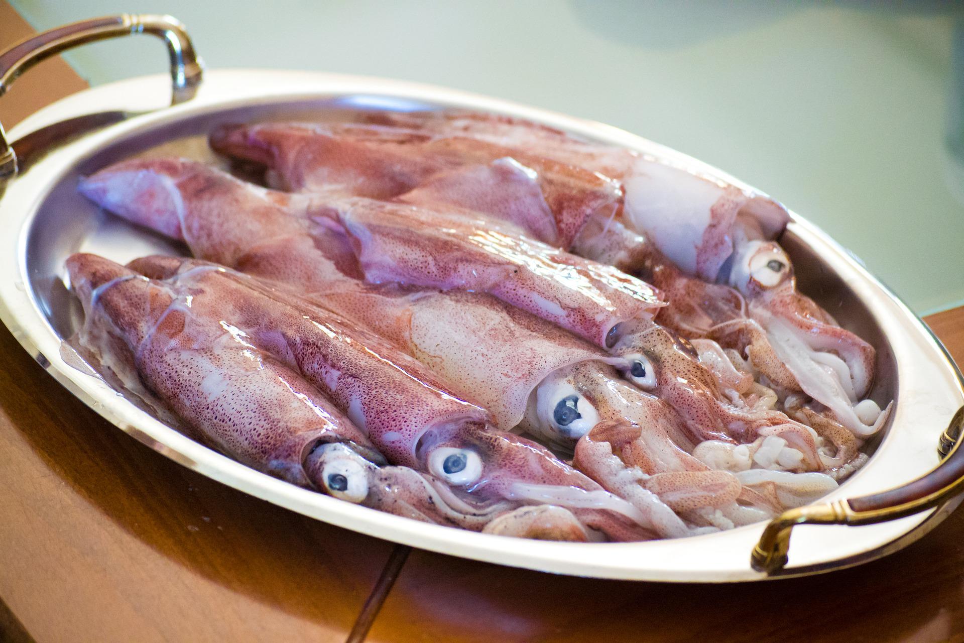 calamar ingredients La Gourmeteria / Foto: Pixabay