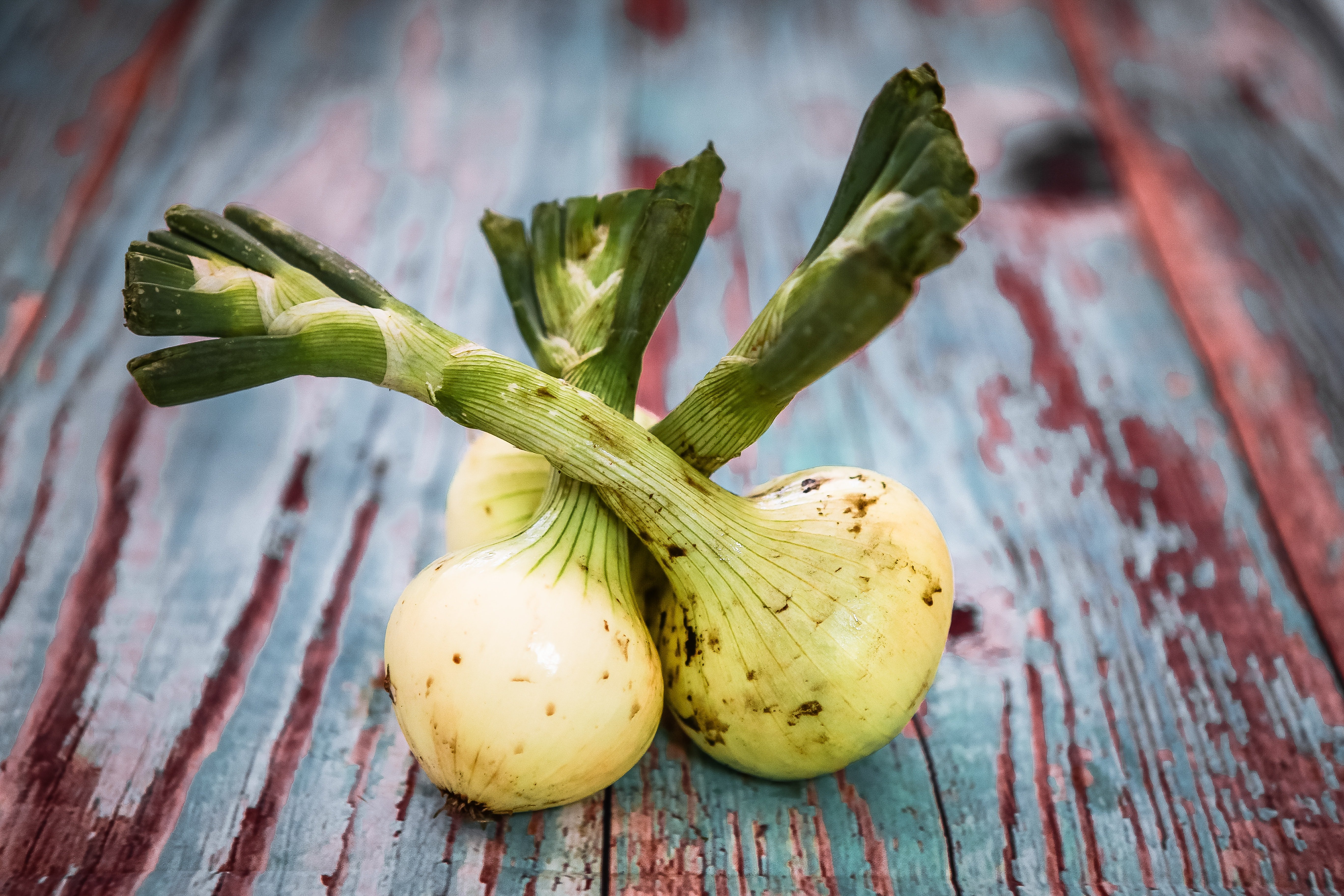 Ceba ingredients La Gourmeteria / Foto: Unsplash