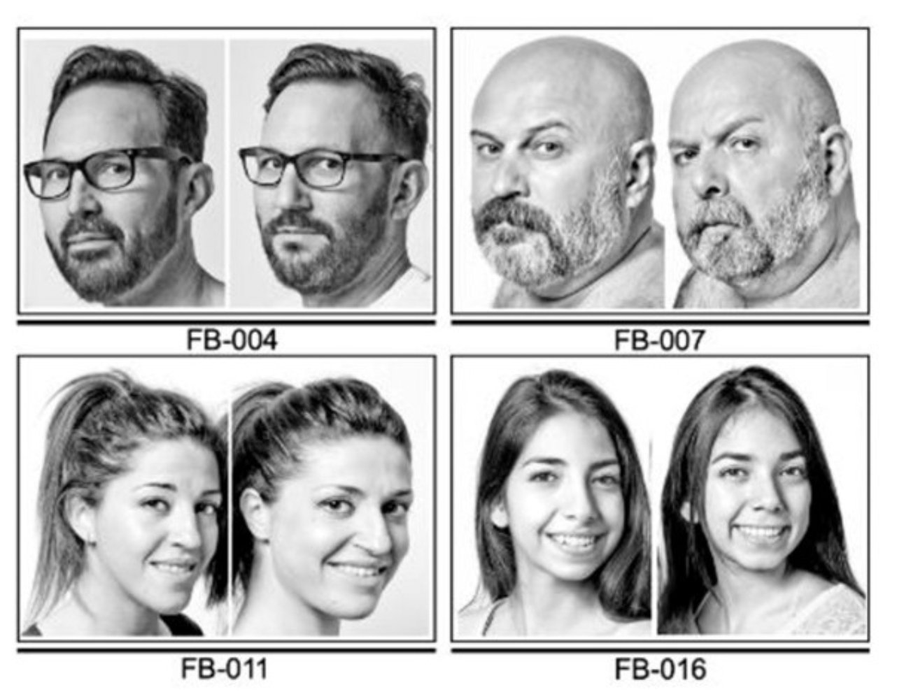 Similitud facial (1) Similitud facial (1)