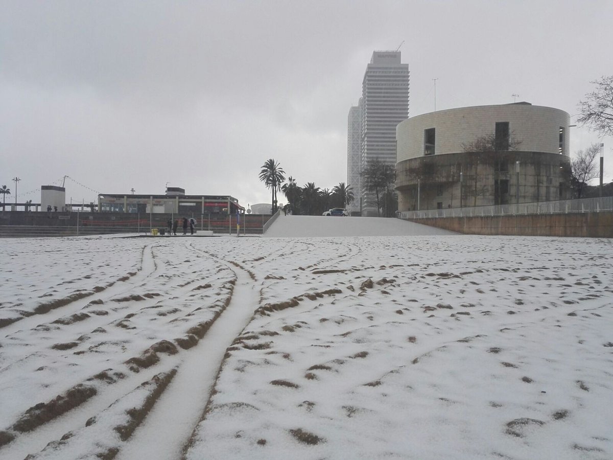 neu barcelona platja   acn