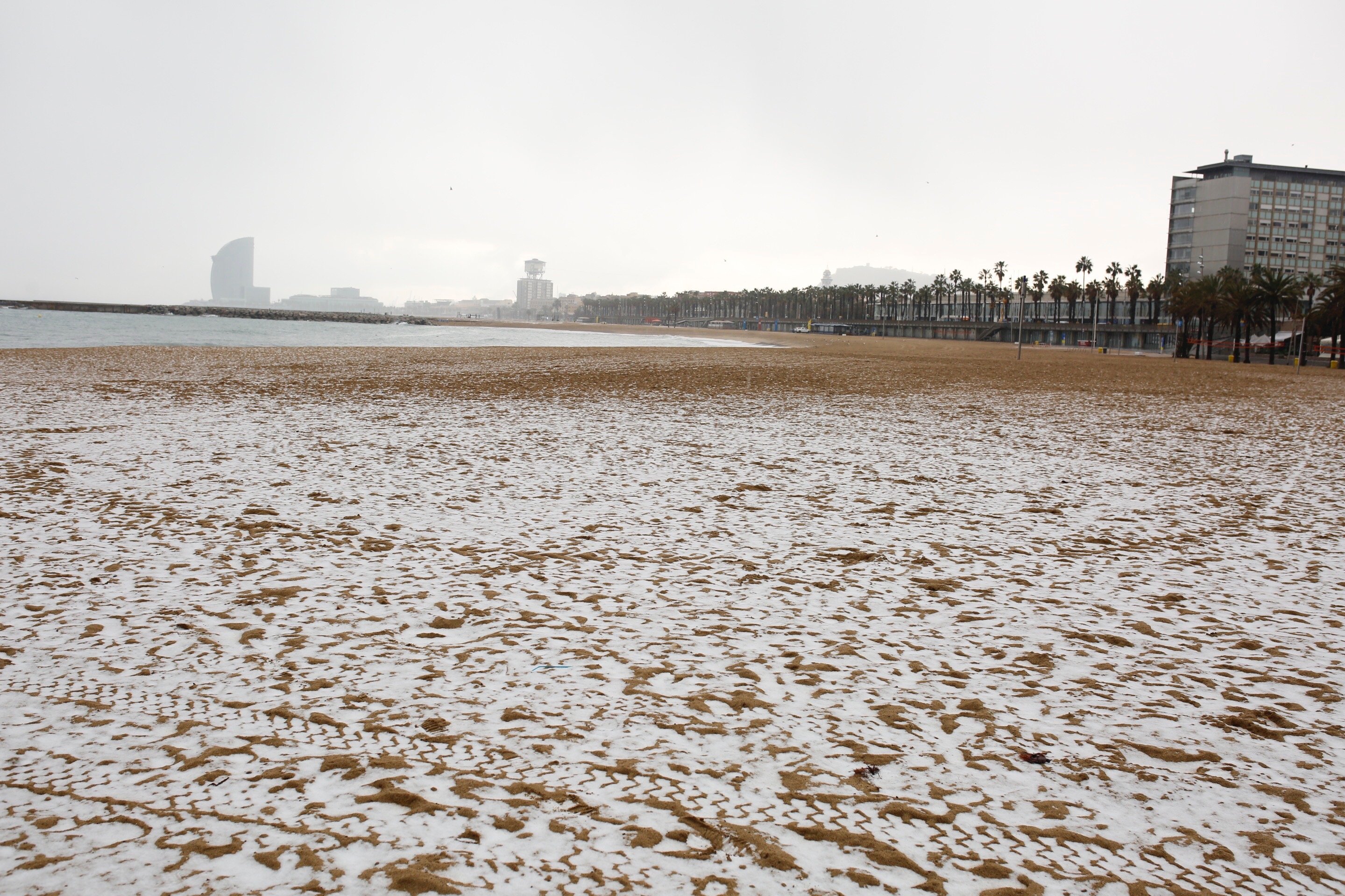 VÍDEO: La playa de Barcelona, enharinada