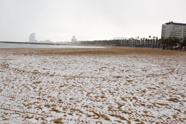 Nevada Barcelona / Sergi Alcàzar
