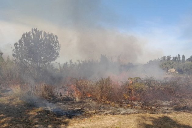 Fuego en el aeropuerto de El Prat / Bombers de la Generalitat Fuego en el aeropuerto de El Prat / Bombers de la Generalitat
