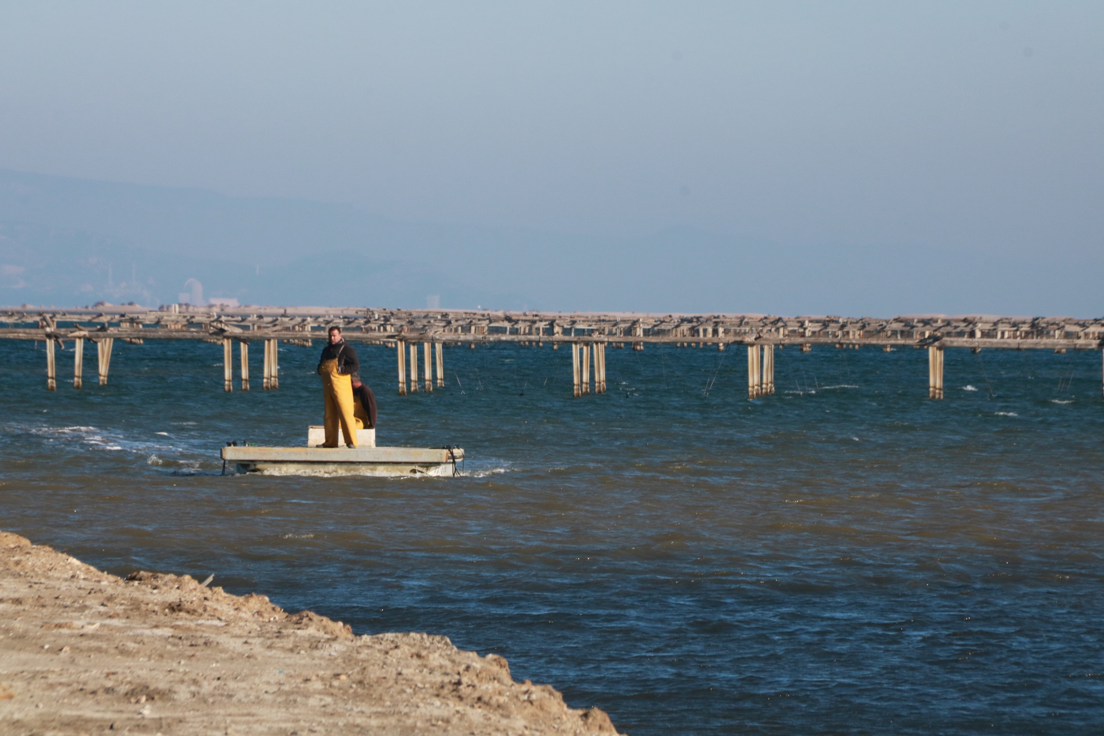 Ni mejillones ni sal: ¿cómo la crisis climática ha hundido la producción en el Delta del Ebro?