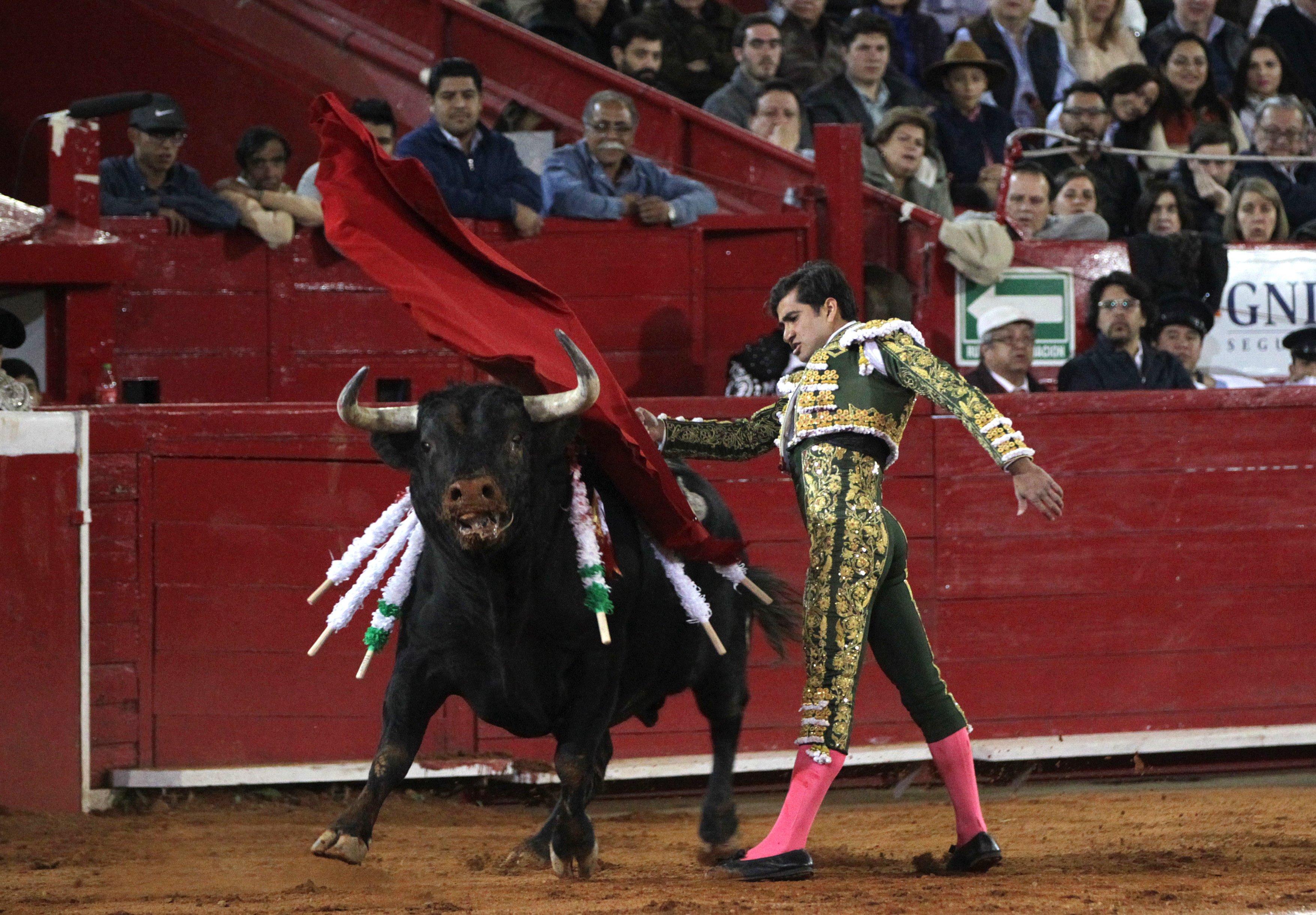 Creus que Espanya hauria de prohibir les corrides de toros, com a Catalunya?