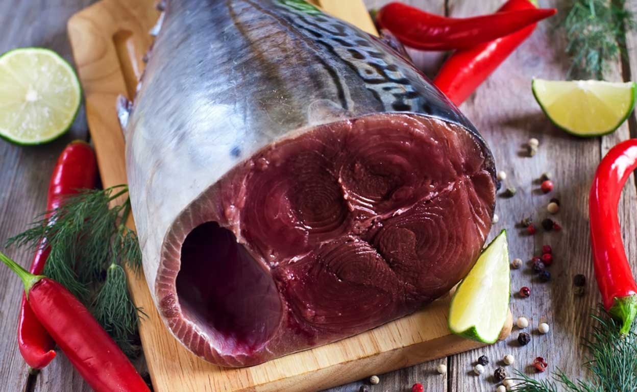 Aquest és el motiu que la carn de tonyina sigui vermella i no blanca com la dels peixos