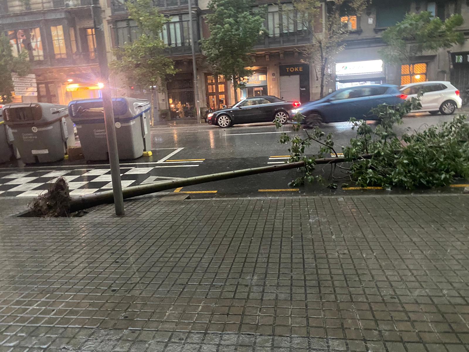 destrozos árboles calle aragó barcelona 31 agosto 2022 Marta Torné